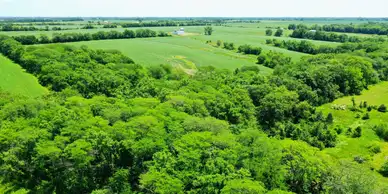 Scenic landscape with dense greenery