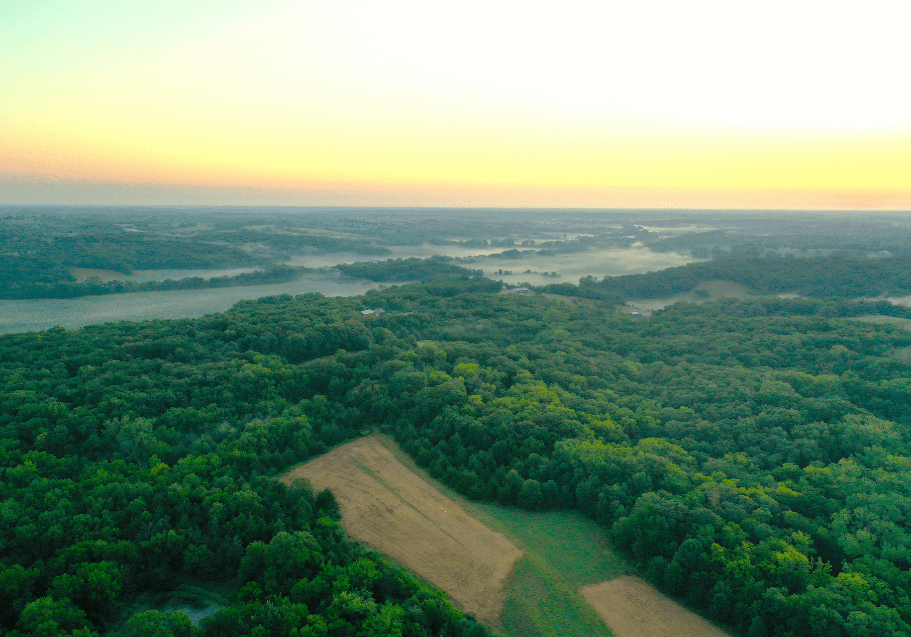 DJI_0919 1 (1)