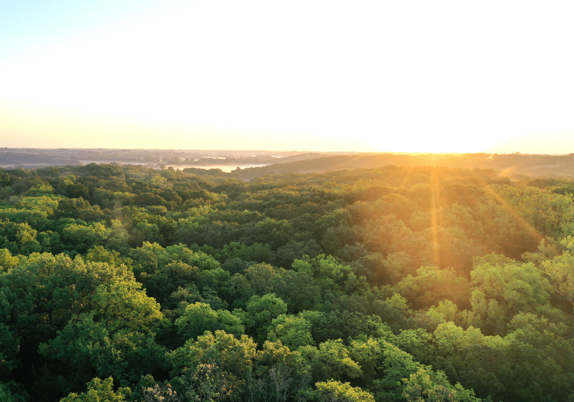 DJI_0960 1 (1)